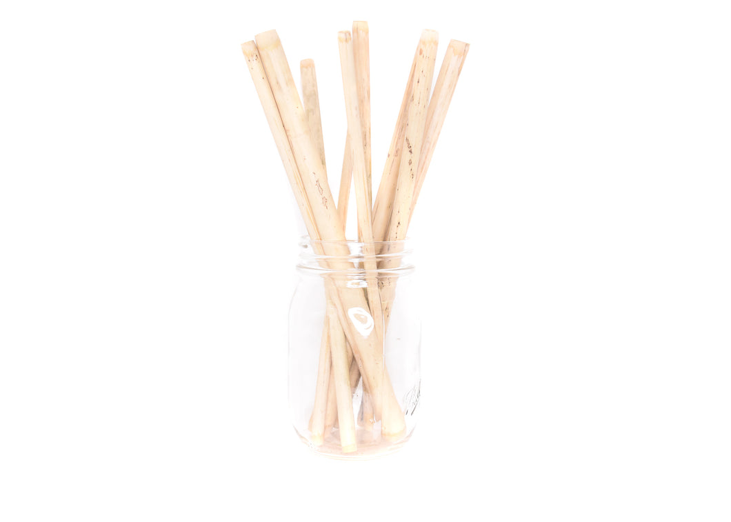 Bamboo Straws | Set of 12